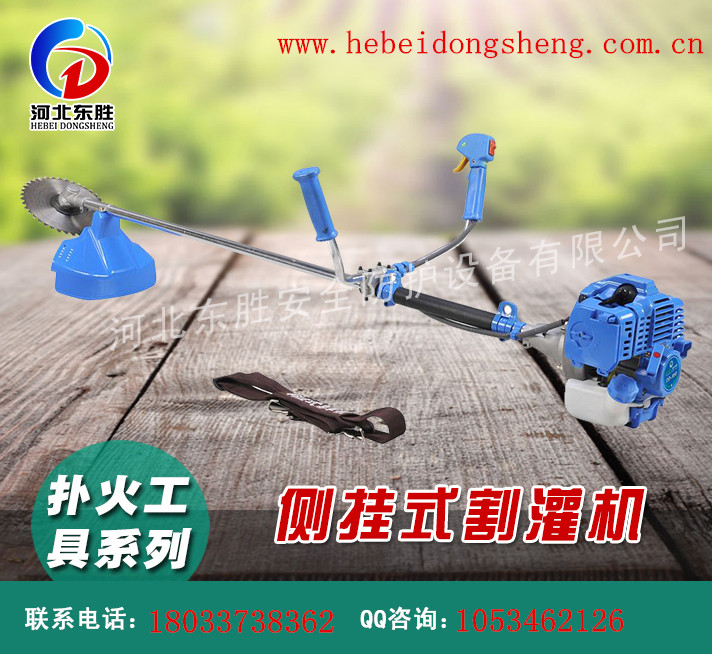 ɭ�ַ�����ϵͳDS-CG����?ʽ�����ʽ���� 
�ؼ���: