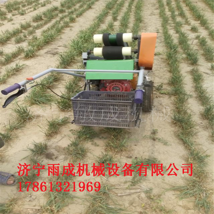 綯²ոֱ ȼʽ²ո 
ؼ: