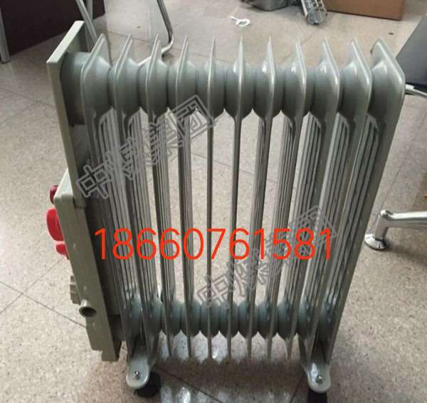 ú���ø����͵���ȡů��RB2000/127������ů��Ƭ 
�ؼ���: