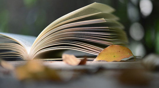 ���������һ��Ҫ��������� 
�ؼ���:2019-07-15