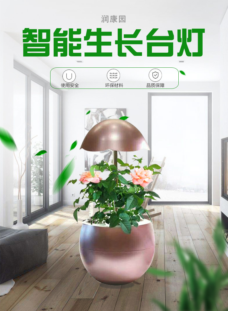 ȫԶֲ̨ ֲﾻս̲ȫֲ 
ؼ: