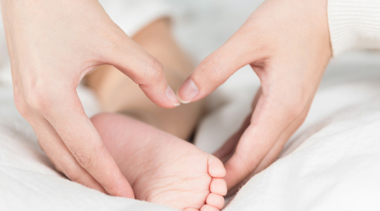 һ�������������,ȫ�汣�չ滮,�ǵ��ղ� 
�ؼ���:2019-08-21