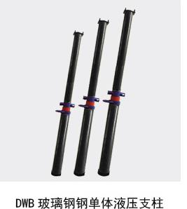 DW40-30/100Bʱ֧õҺѹ֧ 
ؼ: