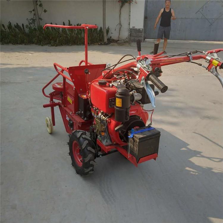 Сո ַʽո  ʽͽոո 
ؼ: