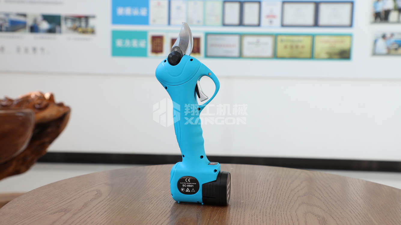 ��Ӧ�蹤2.5���ֵ綯��֦�� 
�ؼ���:2021-02-21