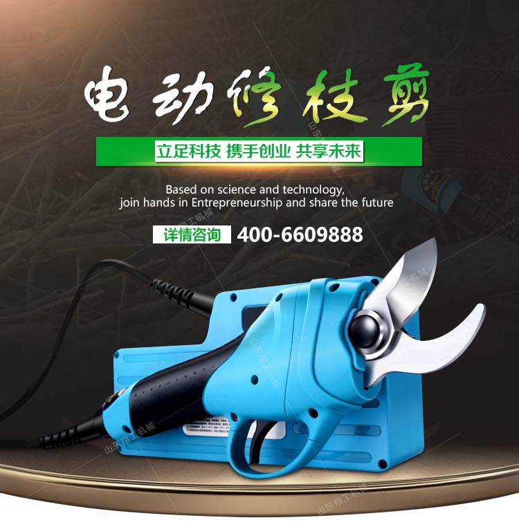 ��Ӧ�蹤3�������ߵ綯��֦�� 
�ؼ���:2021-02-21