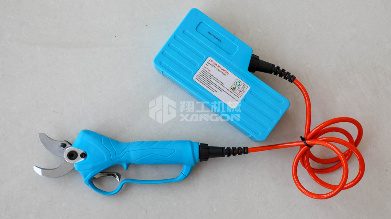 �蹤�綯����  ��֦�� 
�ؼ���:2021-02-21