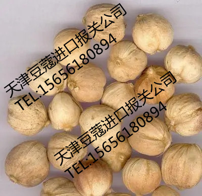 ���׶�ޢ���ش�����˾ 
�ؼ���: