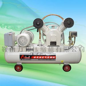ȫͿѹ  oil free air compressor 
ؼ:
