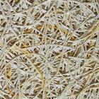 ��̨���跿�����峧�������������������� 
�ؼ���:2010-09-01