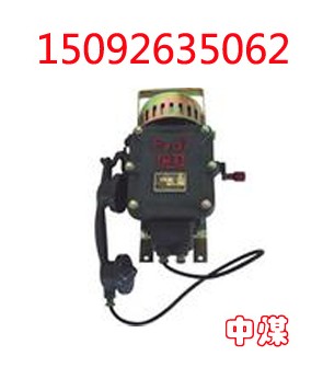 ӦCB-2ʯʽ绰 
ؼ:2011-01-03