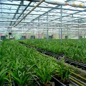 �紲�� 
�ؼ���:2010-12-20 17:59:54