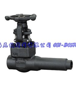 ͸ӳբ800Lb 
ؼ:2011-02-23