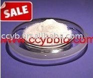 ڹӦ85% 
ؼ:2011-04-04