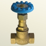 Ӣspirax sarcoHV3 ֹ 
ؼ: