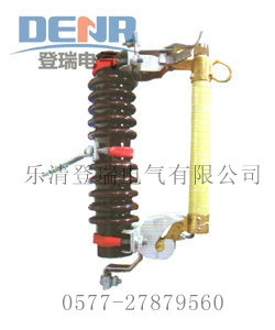 RW11-10/100ARW11-10/200Aѹʽ۶ 
ؼ:2011-12-05