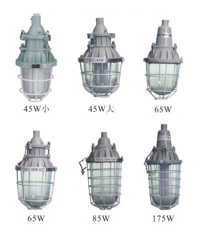 ܵBAD-JExplosion-proof lamps BAD -  
ؼ: