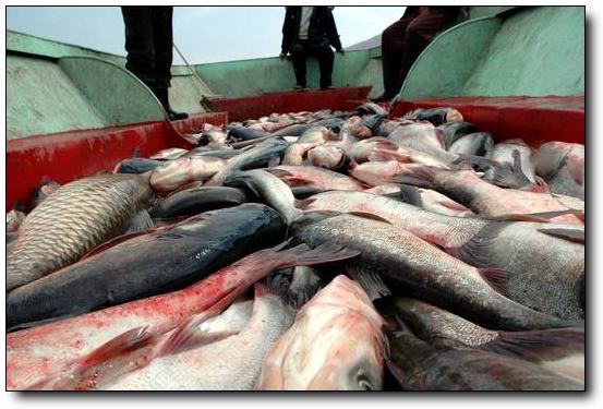 �ɻ�������-���������κ��϶ɼٴ� 
�ؼ���:2011-05-30