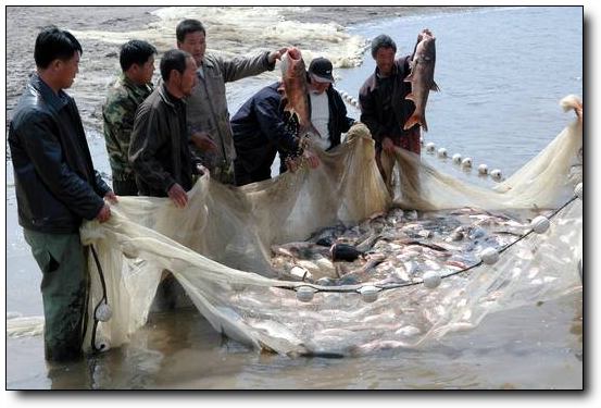 �ɻ����ɼ�-���������κ��϶ɼٴ� 
�ؼ���:2011-05-30