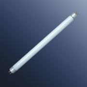 T5-6WƬLEDչƹ 
ؼ:2012-03-01