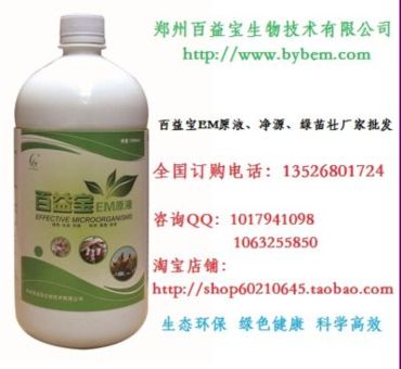 ʹem 汦EMʹƼ 
ؼ: