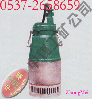 BQS130ϵ�п��ø�����Ǳˮ��ɳ��� 
�ؼ���:2011-09-13