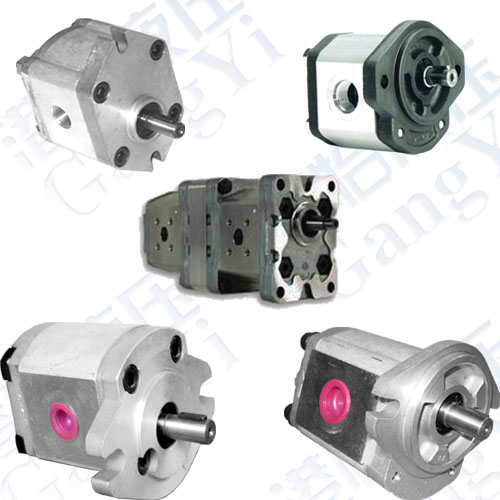 Gear Pumps Series: 
ؼ: