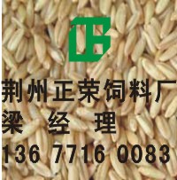 ١ֽ󹺸׿Ƥηɵ 
ؼ:2012-02-08