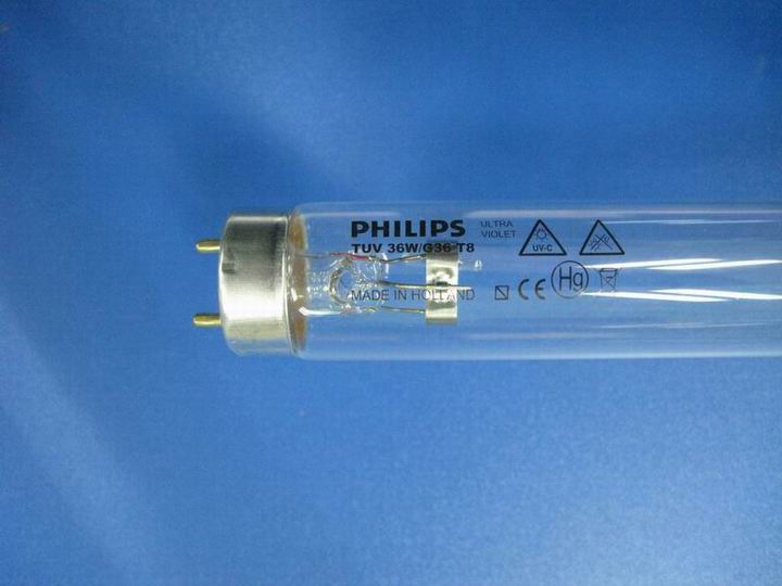 PHILIPSɱ 
ؼ: