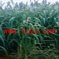 μʲôݳһŰ 
ؼ: