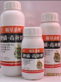 ĳ ߳  ʭ Ҷ ɱ ƺº 
ؼ: