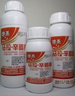   ݾҶ 漻ҸЧũҩƷ 
ؼ: