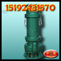 BQS150-300/5-250/Nɳ 
ؼ:
