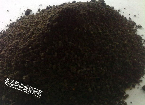 ơлʳ ɼϣ 
ؼ: