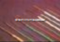 ͭоȾȾԵߡۡͺ ѡ 
ؼ: