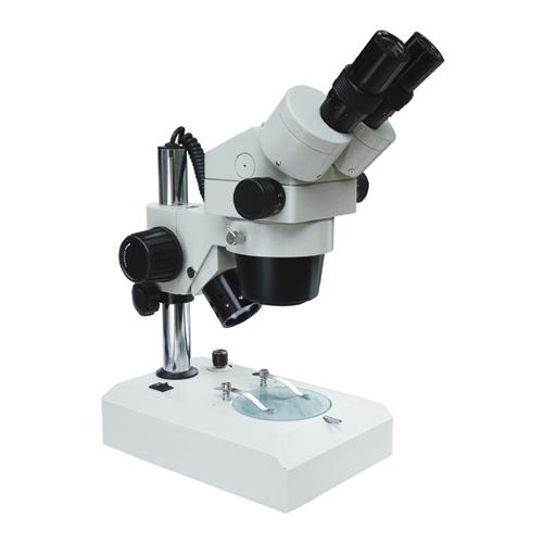 ΢/΢/䱶΢XTL400 
ؼ: