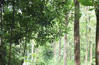 Ӧľ,ľ,ľ,ľ,̩ľ,ҵ 
ؼ:2012-08-10