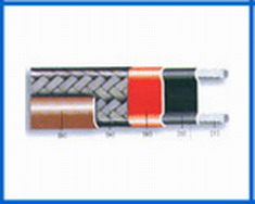 µȴ 
ؼ: