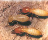 ݸϷ Ϸη Ϸ޹˾ Ϸη 
ؼ: