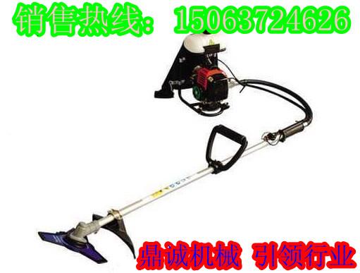 ݻ Яʽݻ ոר 
ؼ:2013-01-06