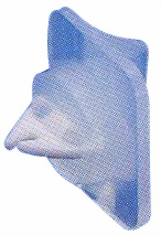 Ϻͷ Ϻͷ С͵١ 
ؼ: