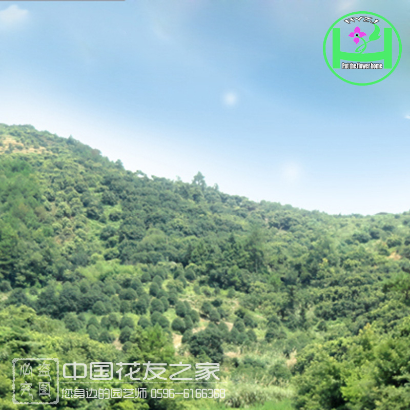 Ʒ軨൤ ൤軨 ڻ 
ؼ: