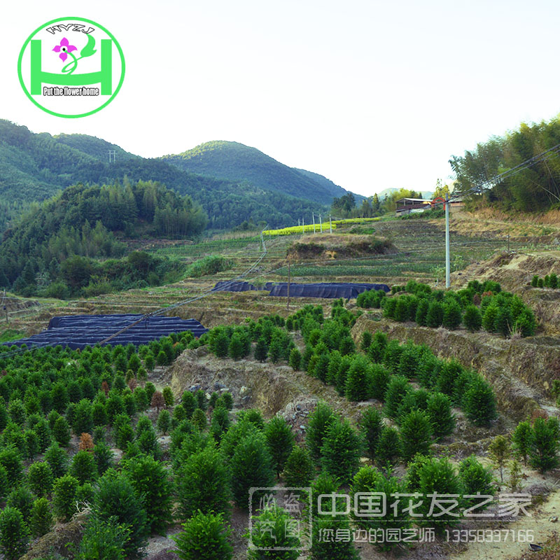 Ȼ춹ɼֲ춹ɼС 
ؼ: