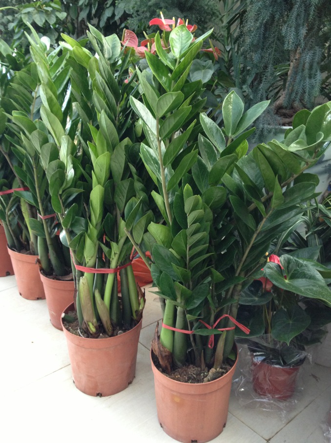 ���Űڻ��۸����|��˾|���̼� 
�ؼ���: