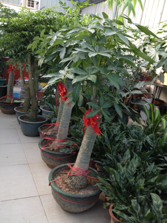 ���Űڻ���˾|�ļҺ�|���̼� 
�ؼ���: