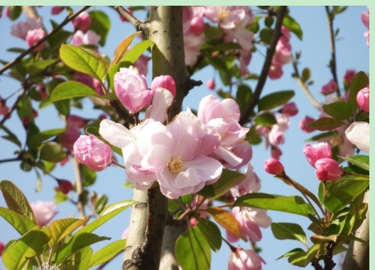 20130.8cm|ؼ۸Ż 
ؼ: