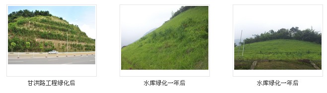 ̻ ̻ ̻Ӽ۸ ˼רҵ̻ 
ؼ: