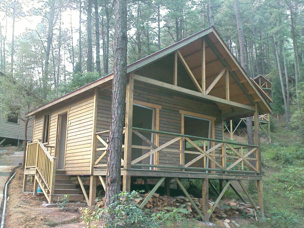 ɫľݣľݳңľľݽ 
ؼ: