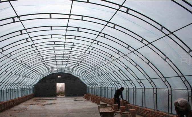 ţｨ ɽţｨ ţｨ 
ؼ: