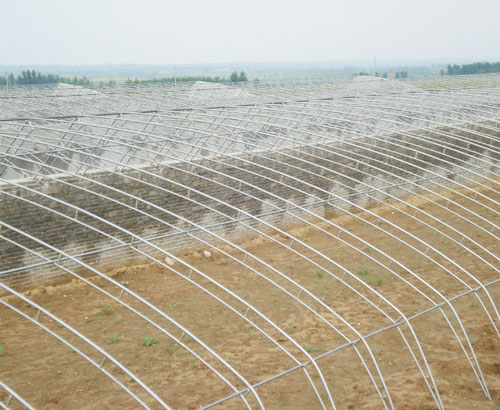 ҽļãҽ۸--ݽ֦ 
ؼ: